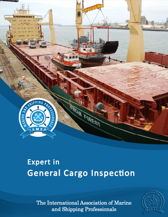 Expert in General Cargo Inspection