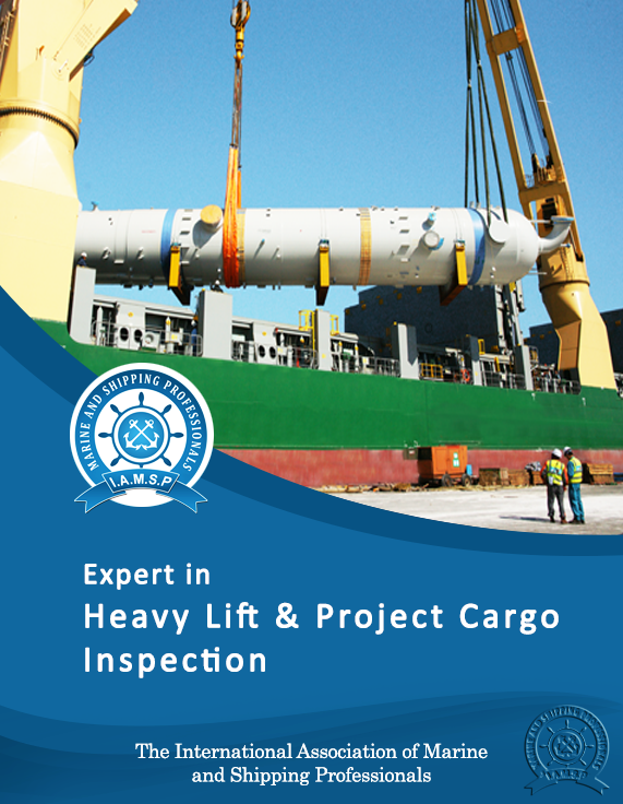 Expert in Heavy Lift And Project Cargo Inspection